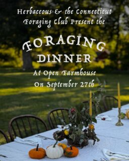 Join Genee from @herbaceouscatering and Amy from the @ct_foraging_club for our first Foraging Farm Dinner at Open Farmhouse on September 27th. This experience will include a foraging walk with Amy through our fields and woods to gather ingredients for dinner, then Genee will prepare a 5-course farm to table meal using the ingredients! Dinner will be held with a view of the kitchen garden in all its glory! It’s the most abundant time of year on the farm, we hope you’ll join us for a memorable evening of magical morsels and a delicious dinner! Tickets are $200, available for purchase through the link in our bio.