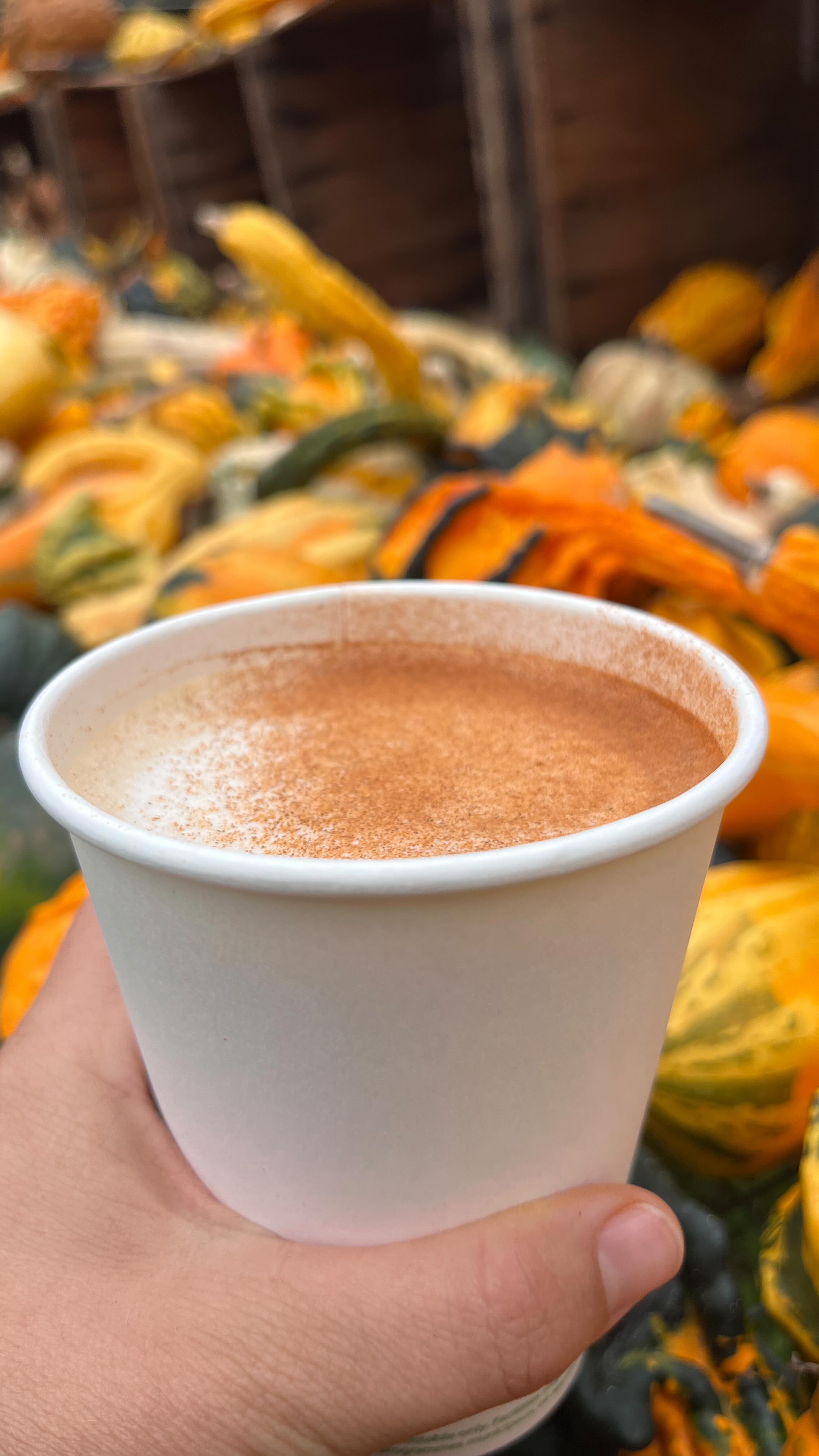 We are open today! Stay warm and cosy with a pumpkin spice latte or hot cider. Hay rides running until around 2 PM. So far no rain and perfect sweater weather. Lots of big pumpkins and funky gourds on the vine for pick your own. Or maybe choose one of our winter squash to make your own fall meal tonight!
