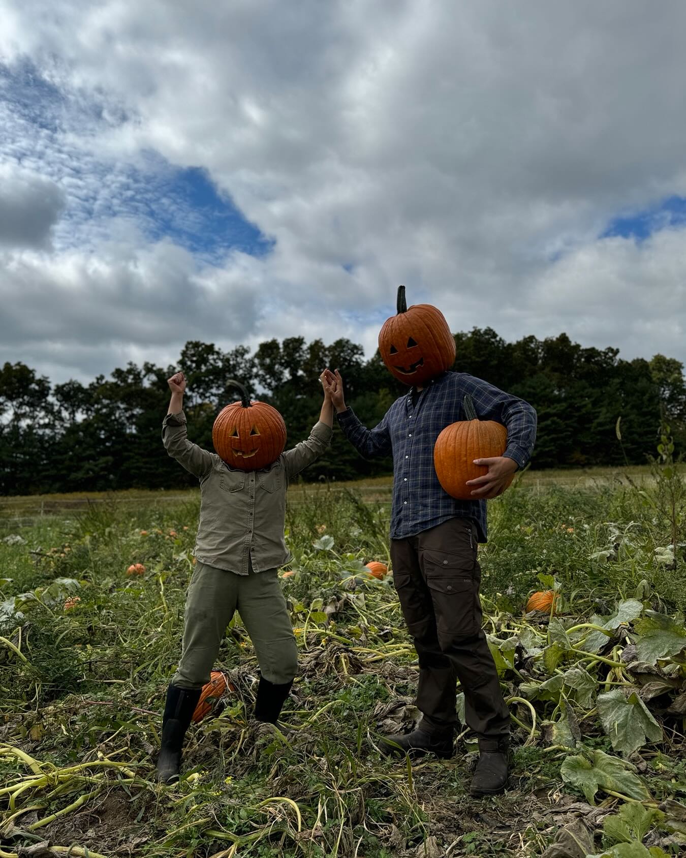 Pumpkin picking is back this weekend at Warrup’s Farm in Redding, CT! Lots of big carving pumpkins on the vine, funky gourds, winter squash, hayrides, pumpkin spice lattes, candles and more! Come visit us and be sure to keep an eye out for the pumpkin heads…family fun for all!