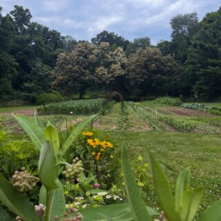 Hi from the farm! We’ve been really quiet on Instagram these past months as we have taken some time to refocus our energy on all the countless projects around the farm. There was much debate on scaling down the kitchen garden but we can’t help ourselves and it is just as big as last year! We are busy as bees preparing for summer events and ways to invite you to visit this summer. Stay tuned!